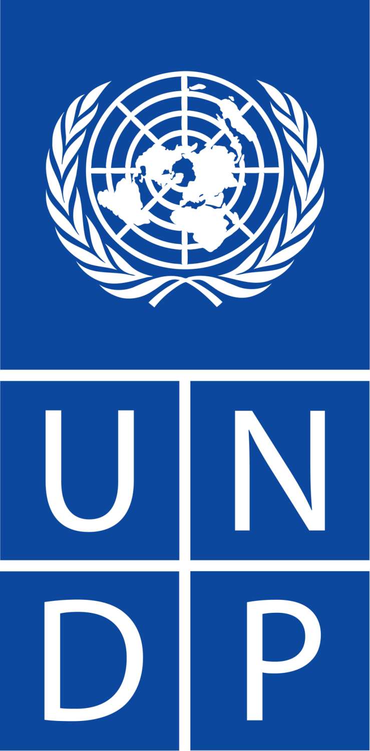 undp1